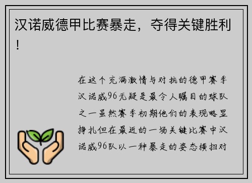 汉诺威德甲比赛暴走，夺得关键胜利！