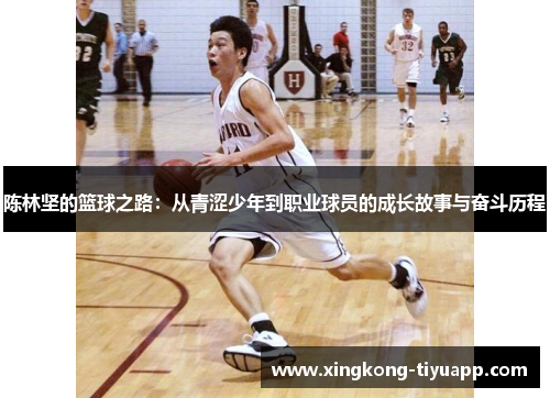 陈林坚的篮球之路：从青涩少年到职业球员的成长故事与奋斗历程